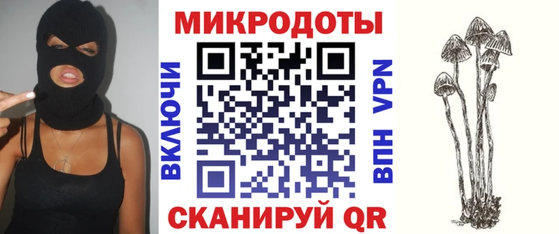 Псилоцибиновые грибы Cubensis  Солнечногорск 