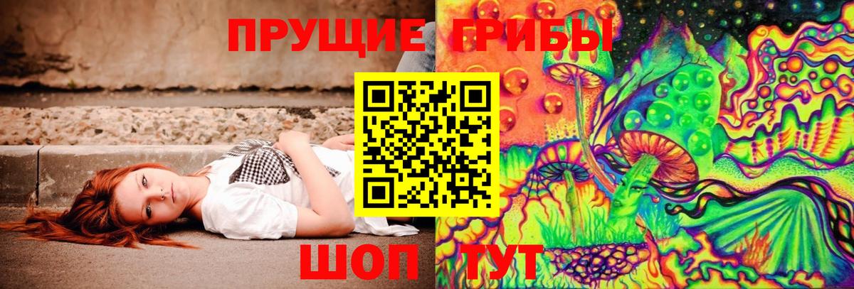 Солнечногорск  Псилоцибиновые грибы мицелий  купить наркотик  Вход с VPN 